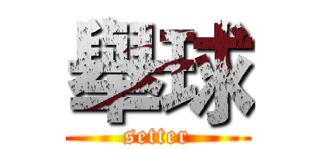 舉球 (setter)