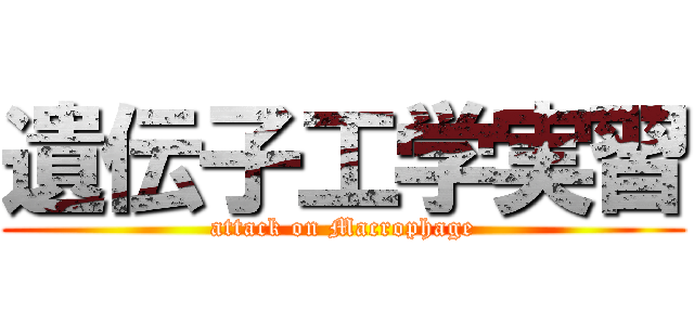 遺伝子工学実習 (attack on Macrophage)