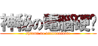 神秘の電腦硬碟 (shinmi no diannauindie)