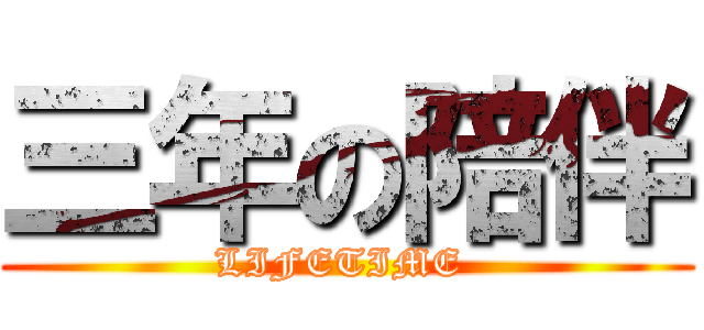 三年の陪伴 (LIFETIME )