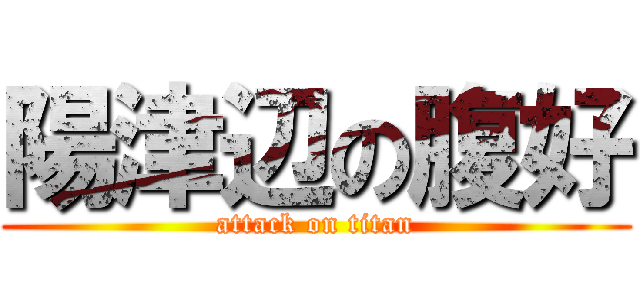 陽津辺の腹好 (attack on titan)