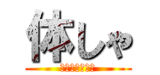 体しゃ (体シャー芯の略)