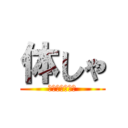 体しゃ (体シャー芯の略)