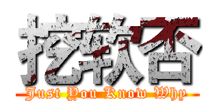 挖软否 (Just You Know Why)