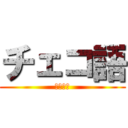 チェコ語 (レベル３)