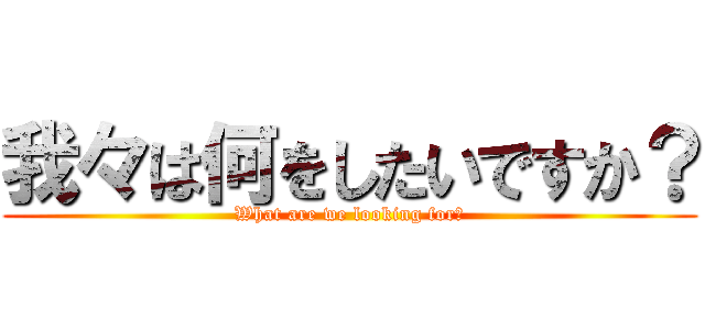 我々は何をしたいですか？ (What are we looking for?)