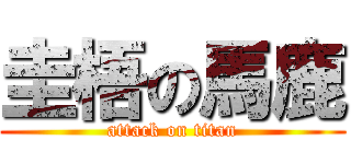 圭梧の馬鹿 (attack on titan)