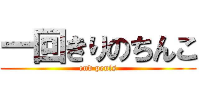 一回きりのちんこ (end penis)