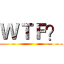 ＷＴＦ？ ()