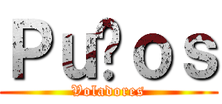 Ｐｕñｏｓ (Voladores)