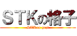 ＳＴＫの格子 (STKon gezi)