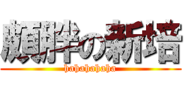 頗胖の新培 (hahahahaha)