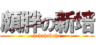 頗胖の新培 (hahahahaha)