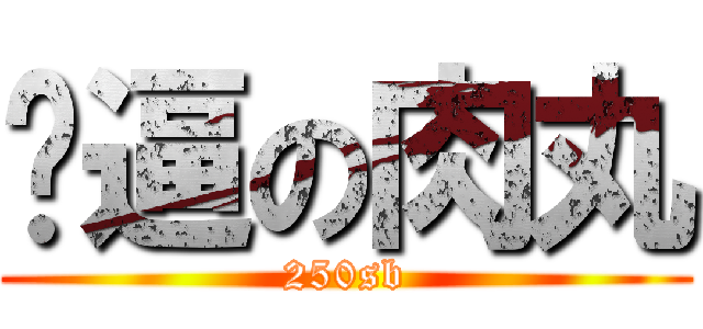 傻逼の肉丸 (250sb)