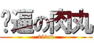 傻逼の肉丸 (250sb)