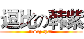 逗比の韩紫 (funny than)