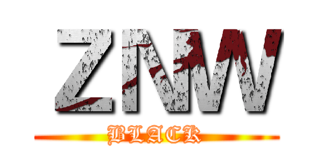ＺＮＷ (BLACK)