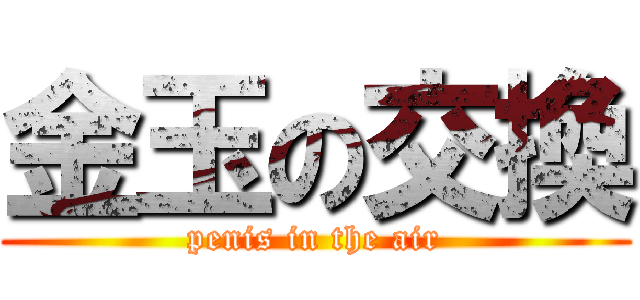 金玉の交換 (penis in the air)