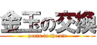 金玉の交換 (penis in the air)