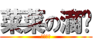 菜菜の滴喔 (根本沒有)