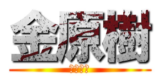 金原樹 (キムゲン)