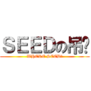 ＳＥＥＤの吊你 (WHERE SEED?)
