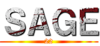 ＳＡＧＥ (22)