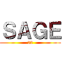 ＳＡＧＥ (22)