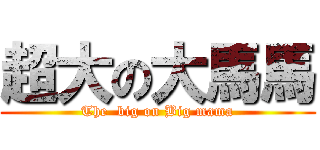 超大の大馬馬 (The  big on Big mama)
