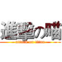 進擊の喵 (attack on titan)