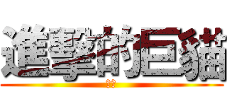 進擊的巨貓 (巨貓)