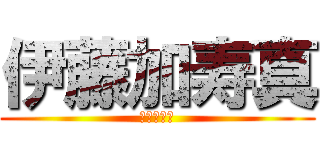 伊藤加寿真 (伊藤加寿真)