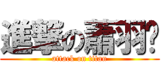 進撃の蕭羽瑄 (attack on titan)