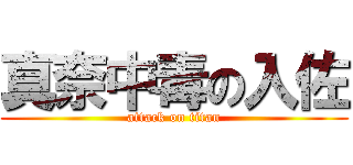 真奈中毒の入佐 (attack on titan)