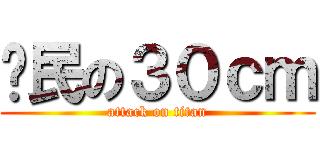 鄉民の３０ｃｍ (attack on titan)