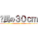 鄉民の３０ｃｍ (attack on titan)