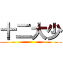 十二大少 ()