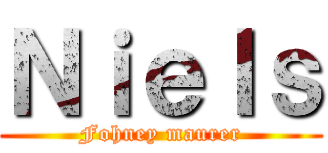 Ｎｉｅｌｓ (Fohney maurer)