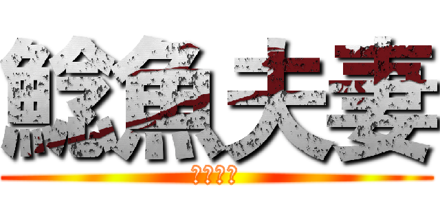 鯰魚夫妻 (相愛一世)