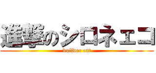 進撃のシロネェコ (builder cat)