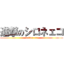 進撃のシロネェコ (builder cat)