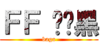 ＦＦ 乌碳黑 (baga)