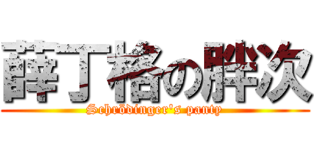 薛丁格の胖次 (Schrödinger\'s panty)