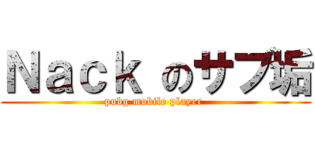 Ｎａｃｋ のサブ垢 (pubg mobile player )