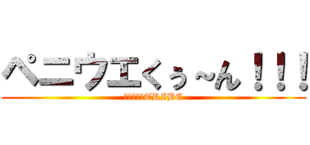 ペニウエくぅ～ん！！！ (ホモザイルTRIBE)