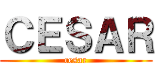 ＣＥＳＡＲ (cesar)