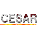 ＣＥＳＡＲ (cesar)