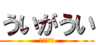 ういがうい (細原はると)