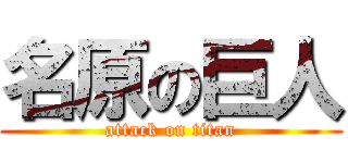 名原の巨人 (attack on titan)