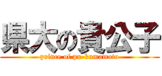 県大の貴公子 (prince of pu-kumamoto)